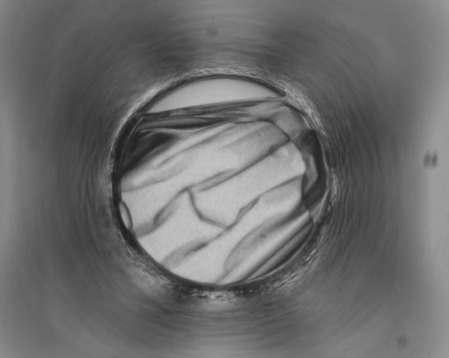 X0000096190395200802151508