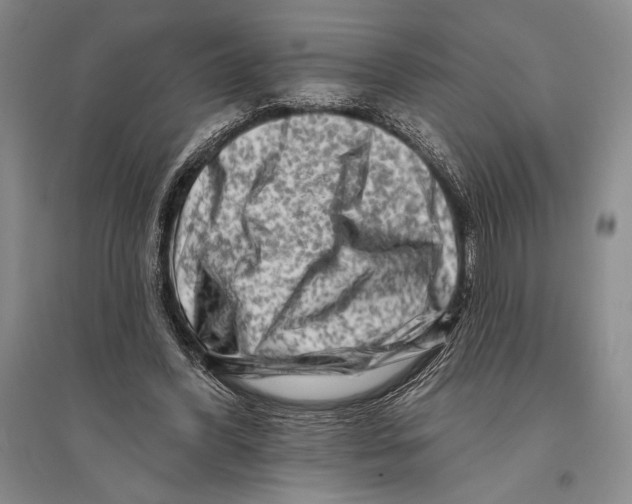 X0000096190396200802151508