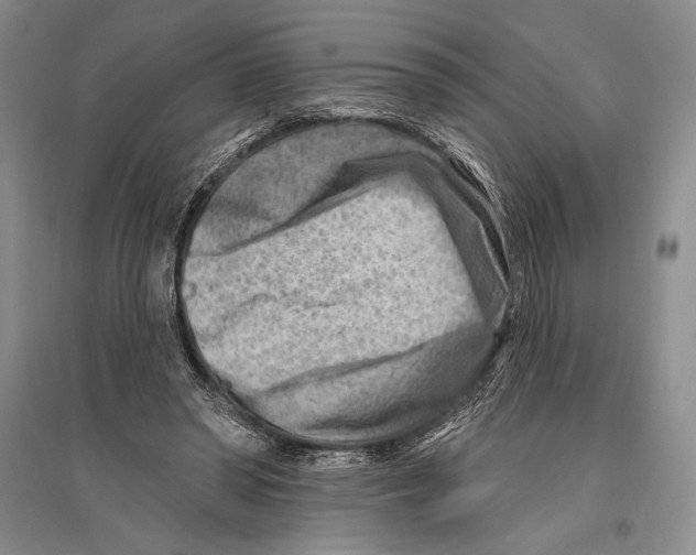 X0000096190398200802151508