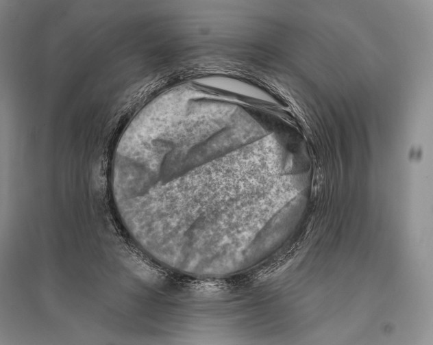 X0000096190402200802151508