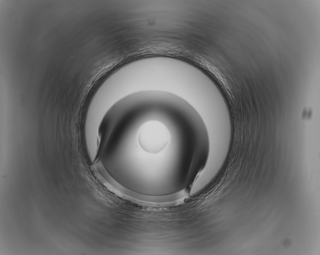 X0000096190403200802151508