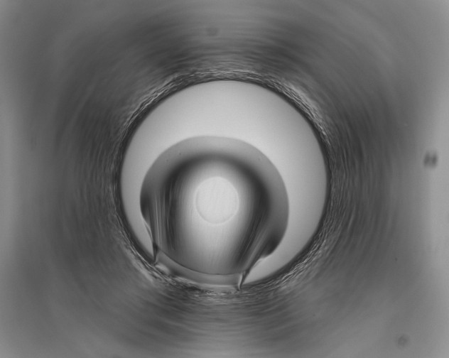 X0000096190405200802151507