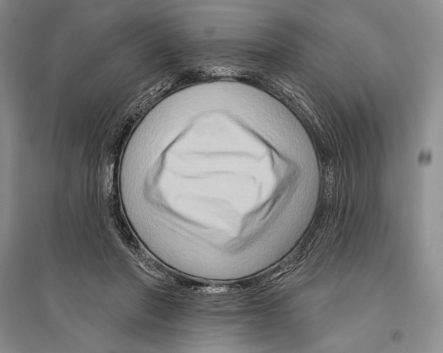 X0000096190406200802151507