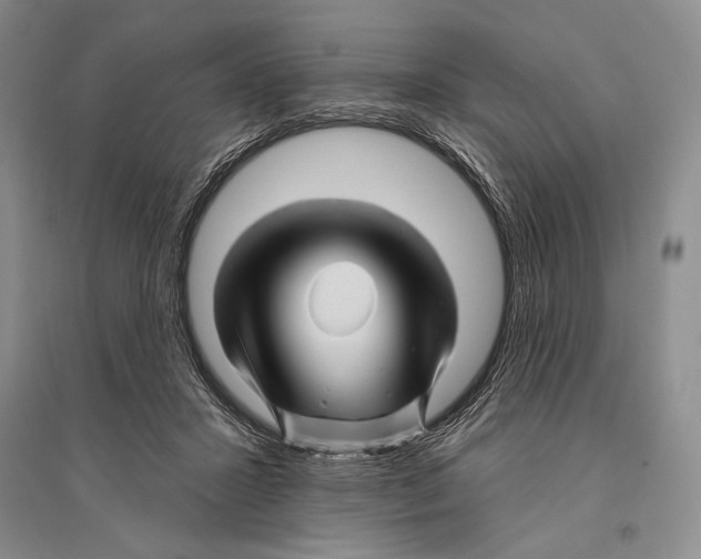 X0000096190407200802151507