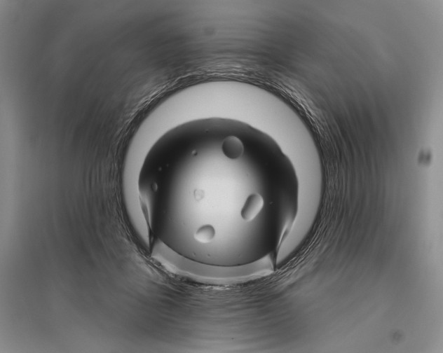 X0000096190411200802151507