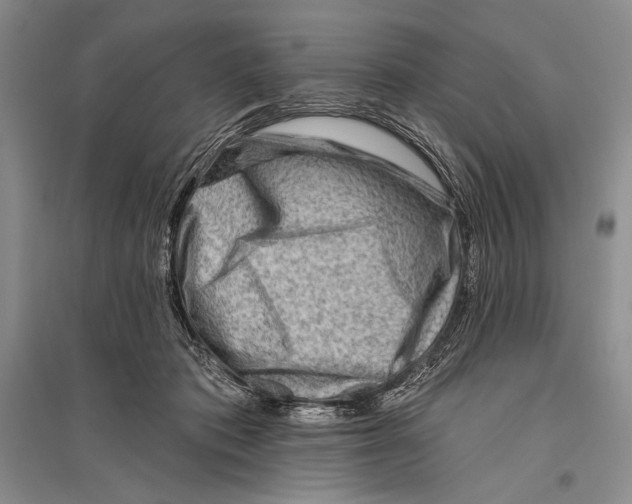 X0000096190413200802151507