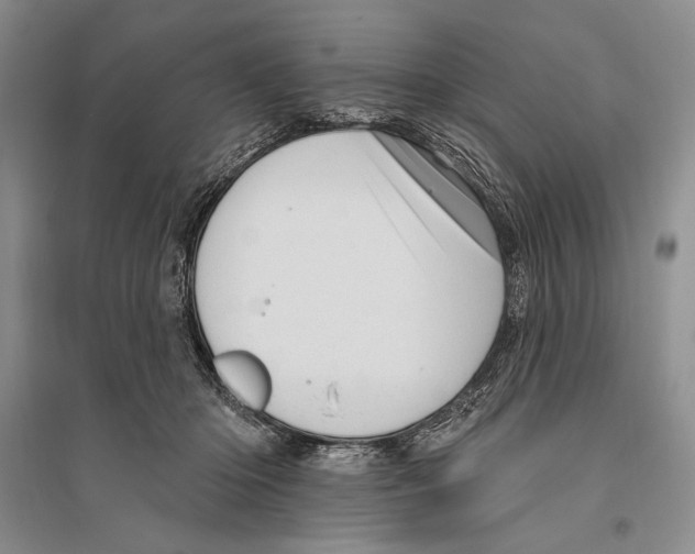 X0000096190414200802151507