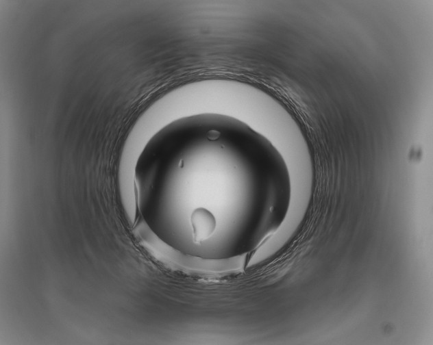 X0000096190415200802151507