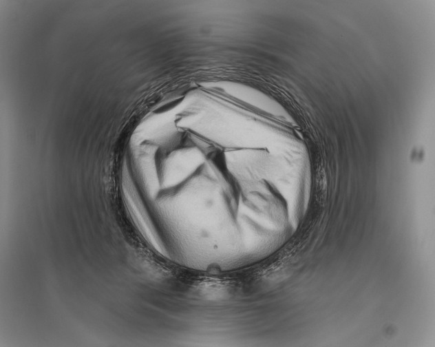 X0000096190416200802151507