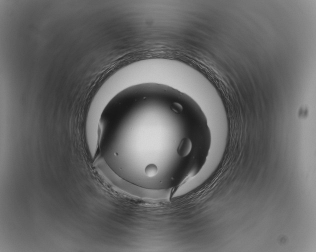 X0000096190417200802151507