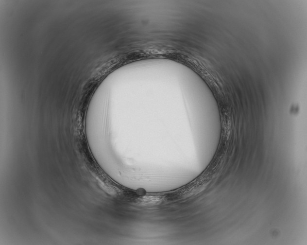 X0000096190418200802151507