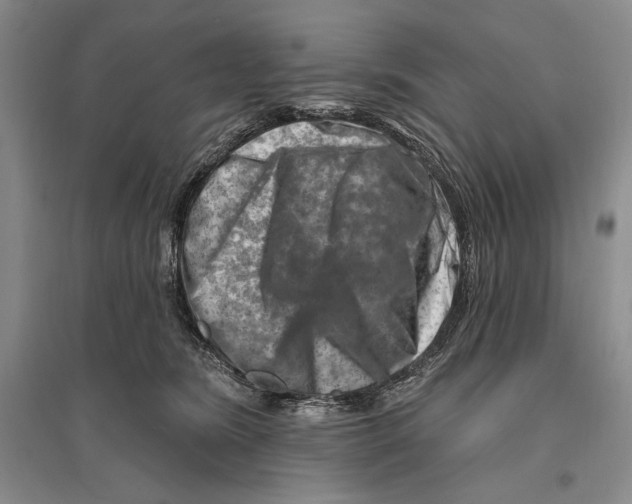 X0000096190420200802151507