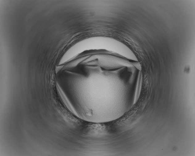 X0000096190421200802151507