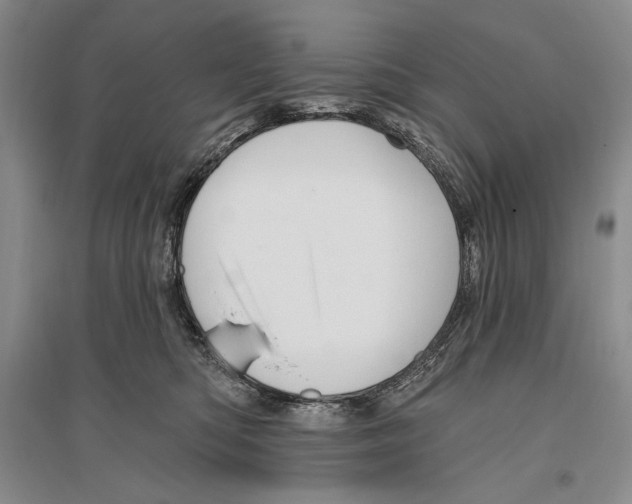 X0000096190422200802151507