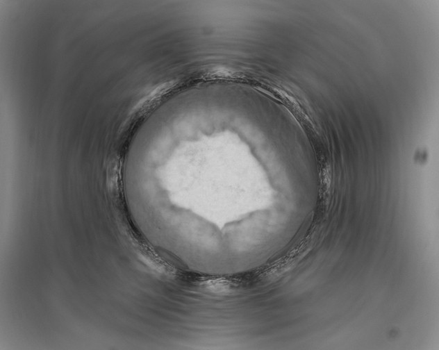 X0000096190423200802151507