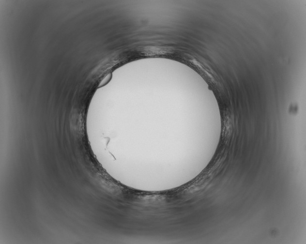 X0000096190426200802151507