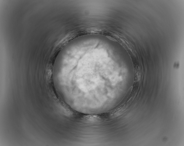 X0000096190427200802151507