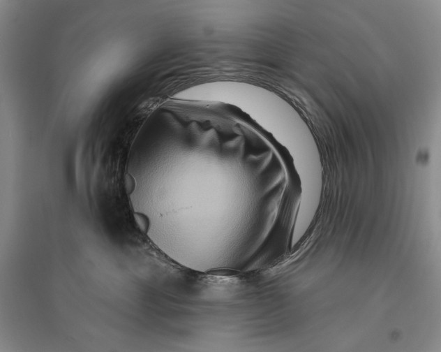 X0000096190429200802151507