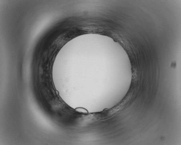 X0000096190430200802151507