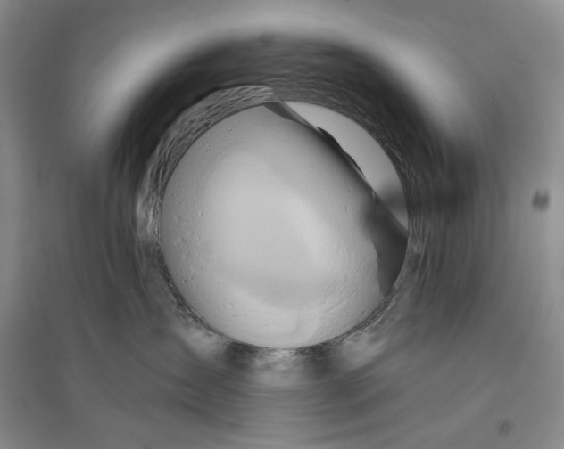 X0000096190431200802151507