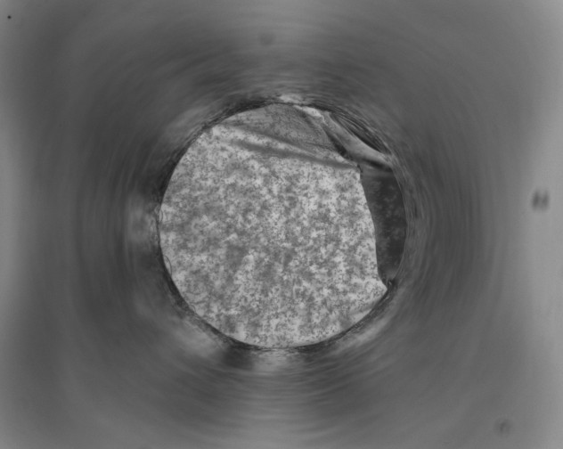 X0000096190432200802151507