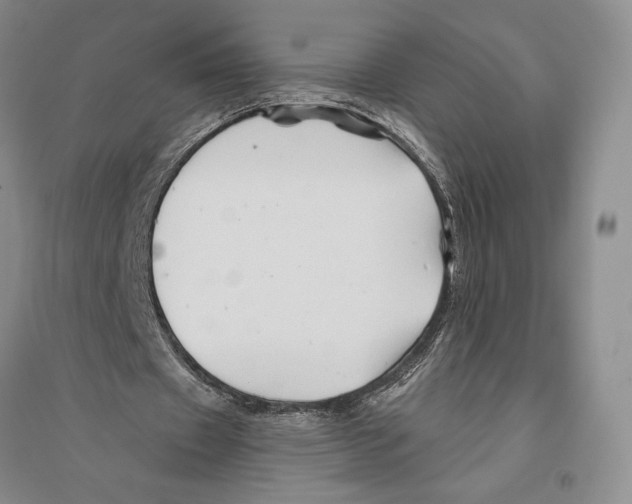 X0000096190433200802151506