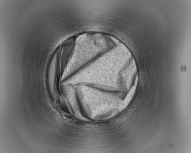 X0000096190434200802151506