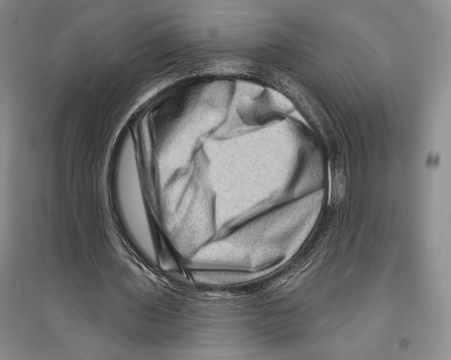 X0000096190435200802151506