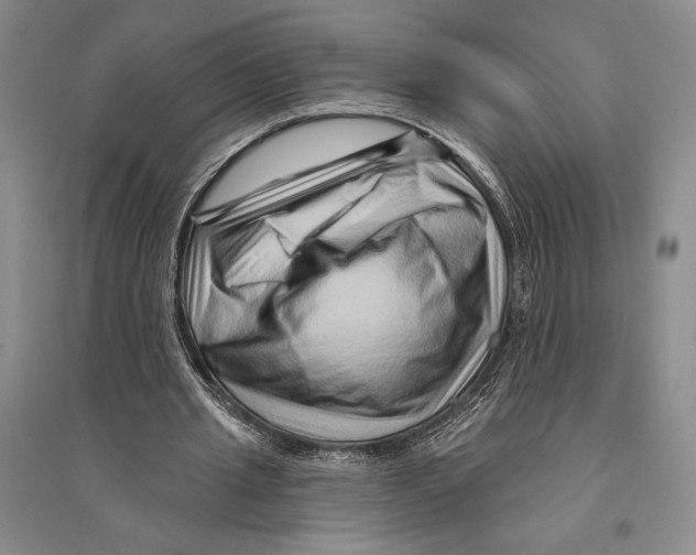 X0000096190437200802151506