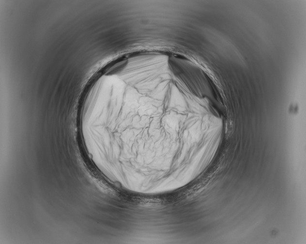 X0000096190438200802151507