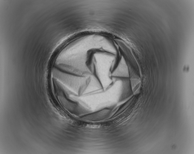 X0000096190440200802151507