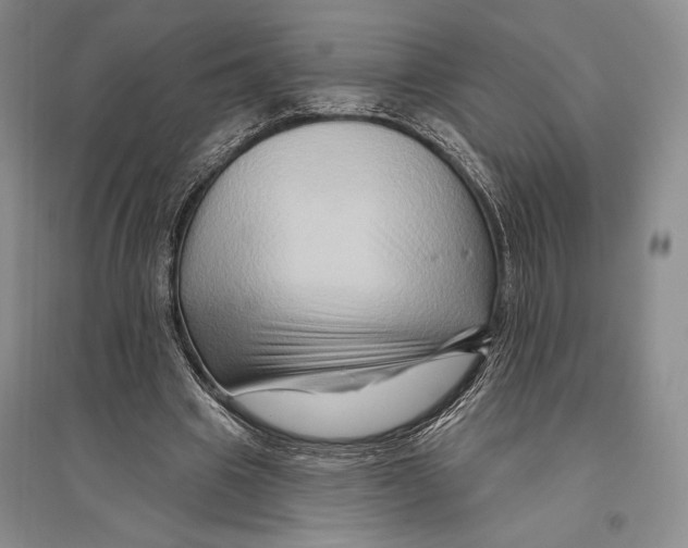 X0000096190441200802151507