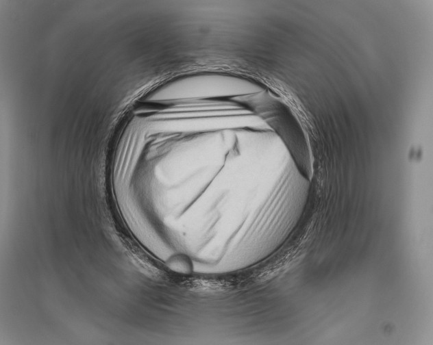 X0000096190442200802151507