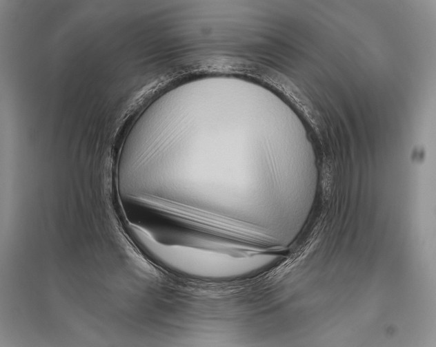 X0000096190445200802151507