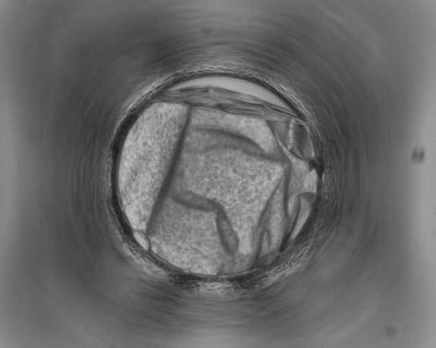 X0000096190446200802151507