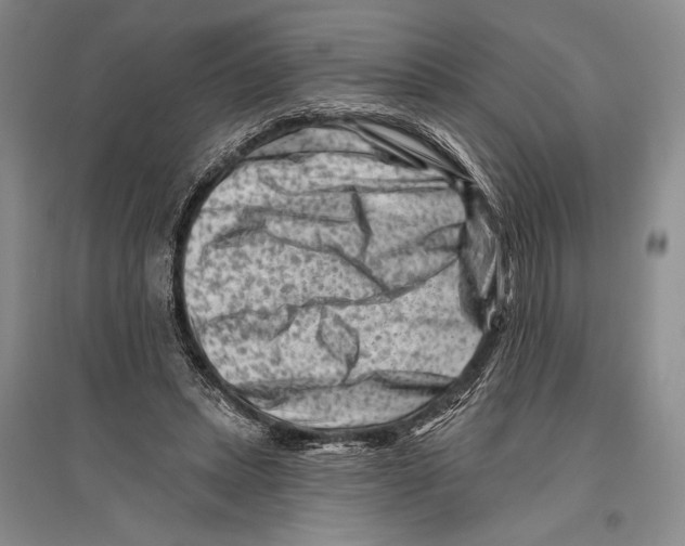 X0000096190447200802151507