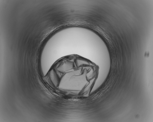 X0000096190448200802151507