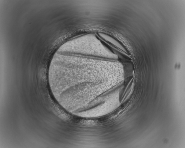 X0000096190449200802151507