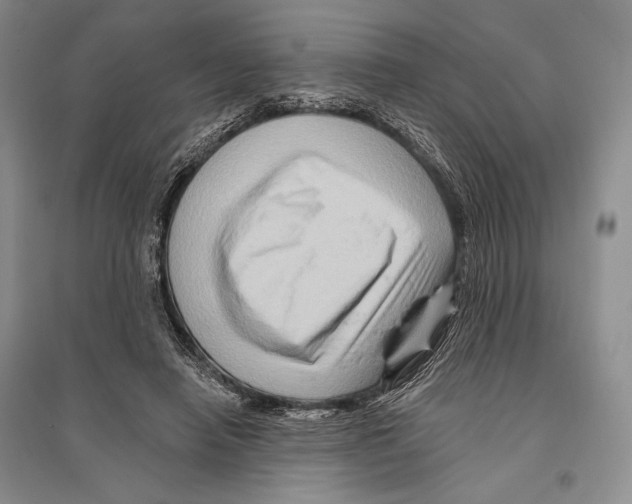 X0000096190450200802151507