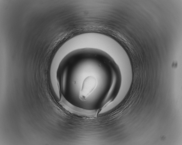 X0000096190452200802151507