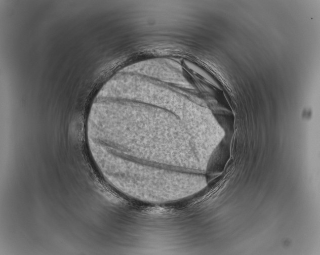 X0000096190453200802151507