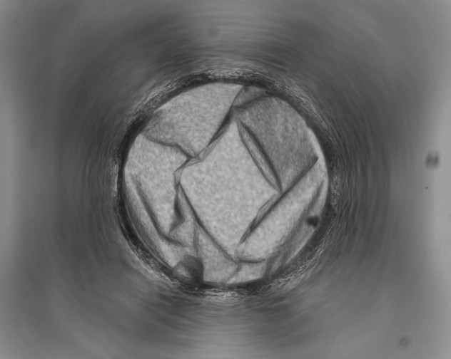 X0000096190454200802151507