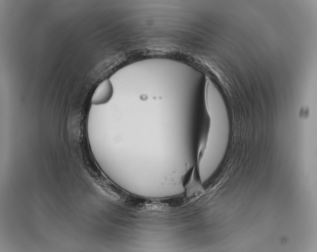 X0000096190455200802151507