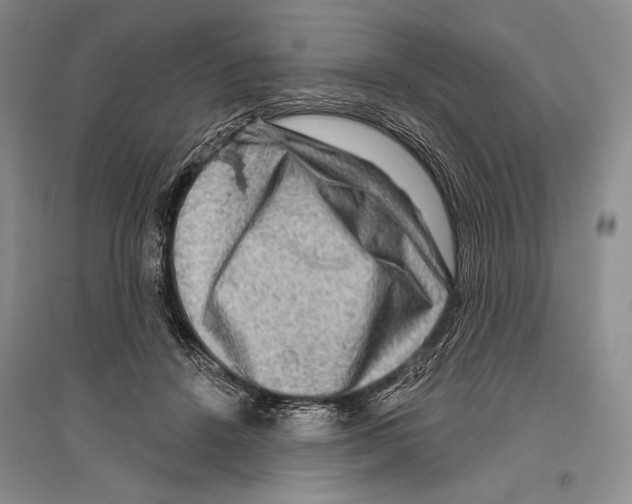 X0000096190456200802151507