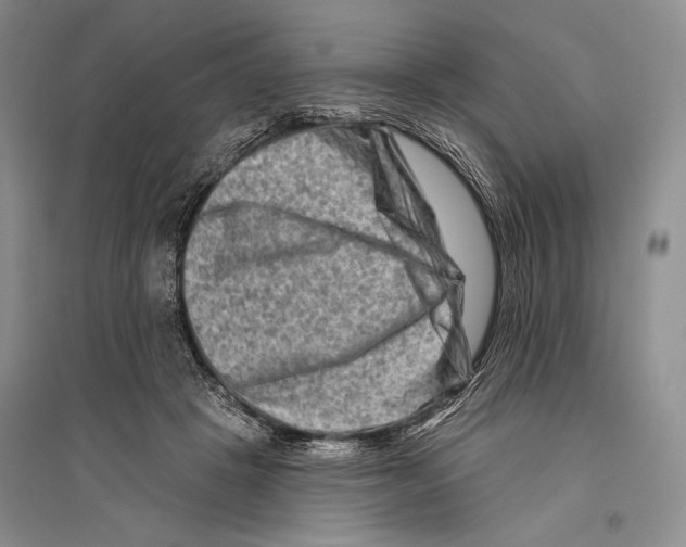 X0000096190457200802151507