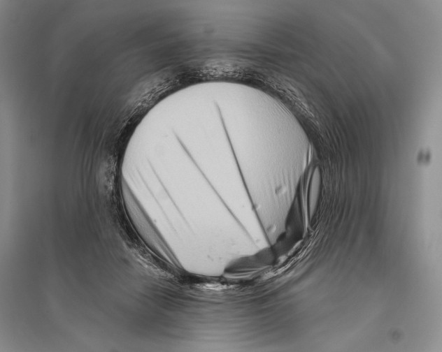 X0000096190458200802151507