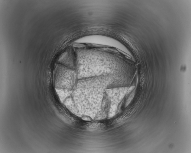 X0000096190459200802151507