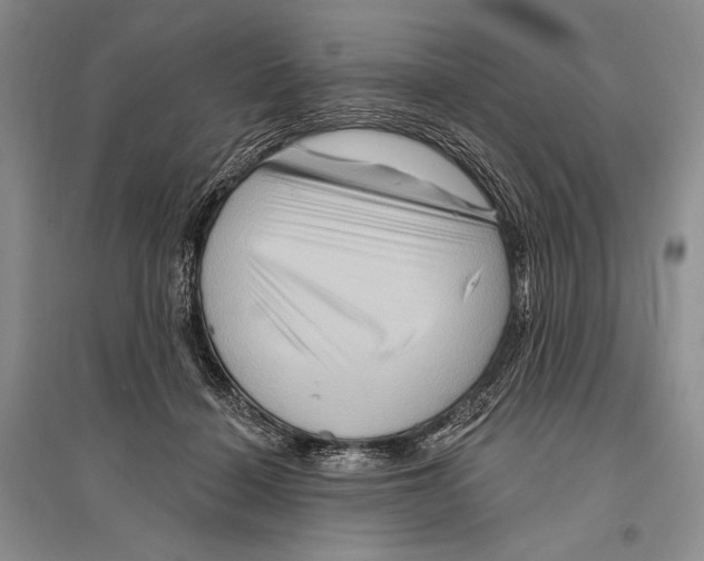 X0000096190460200802151507