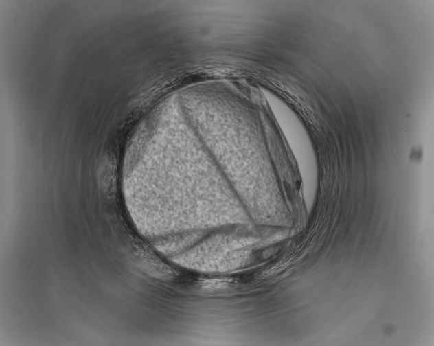 X0000096190461200802151507