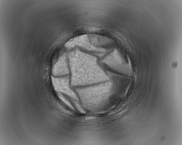 X0000096190462200802151507